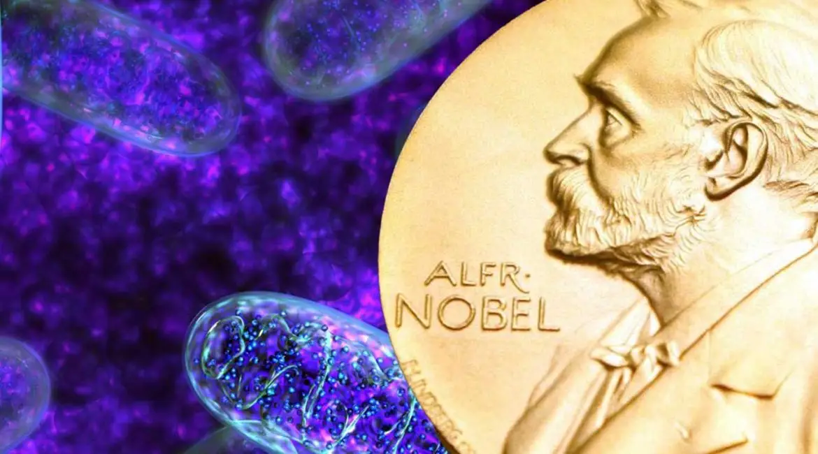 Medizin-Nobelpreis 2019 für Sauerstoff-Steuerung in Zellen.